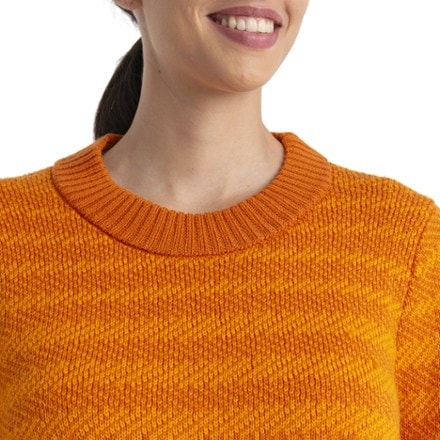 Icebreaker Waypoint Crewe Sweater - Women's 3