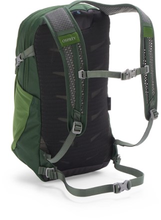 Osprey Daylite Pack 1