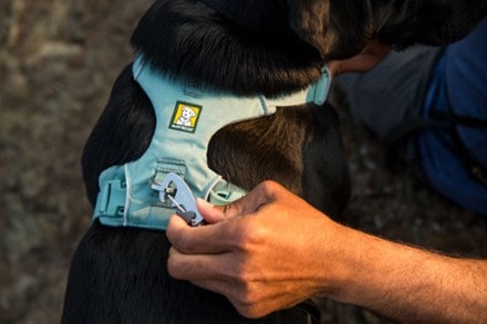 Location Image for Front Range Dog Harness
