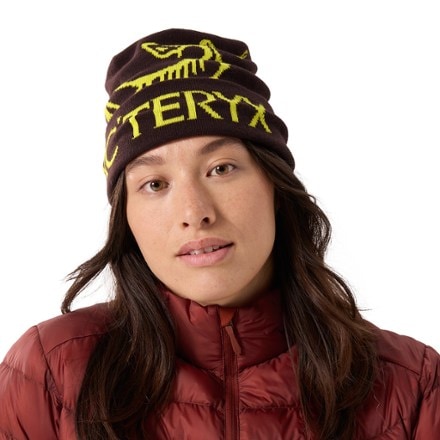 Arc'teryx Bird Word Toque 1