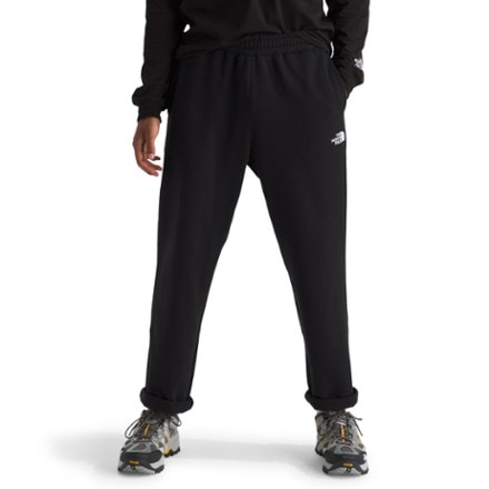 The North Face Evolution Straight Leg Sweatpants - Men's 1