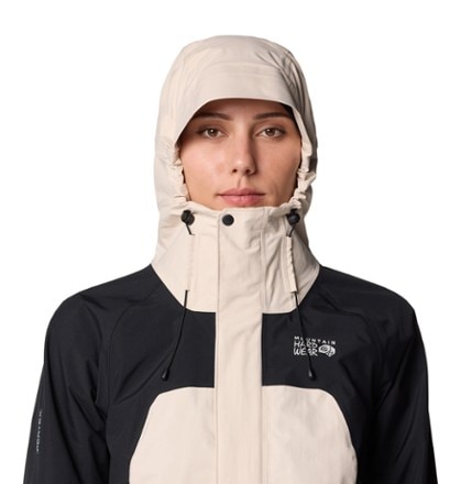 Mountain Hardwear Dry Times Hooded Jacket - Women's 6