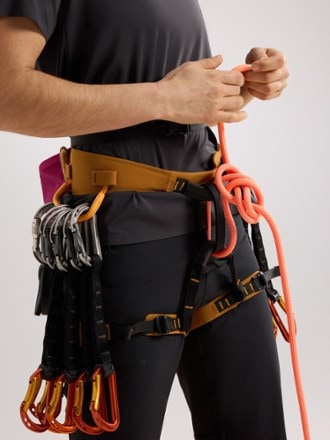 Arc'teryx AR-385a Harness - Women's 5