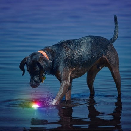Nite Ize GlowStreak Disc-O LED Ball 10