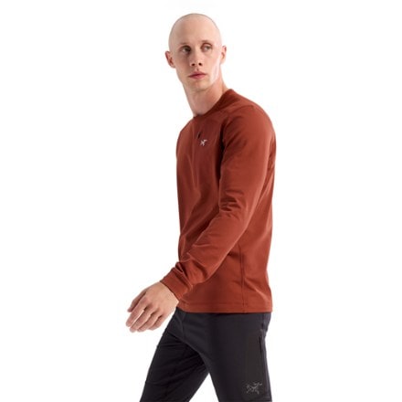 Arc'teryx Rho LT Crew Neck Base Layer Top - Men's 5