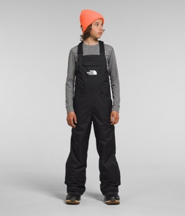 The North Face Freedom Insulated Bib Snow Pants - Boys' 0