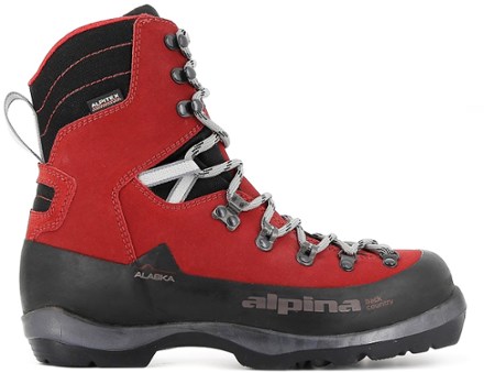 Alpina nordic best sale