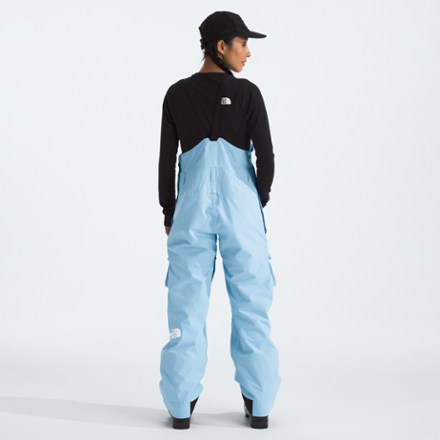 The North Face Dragline Bib Pants - Women's 2