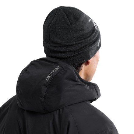 Arc'teryx Lightweight Bird Head Toque 2