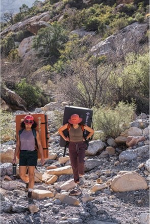 Location Image of color Fig