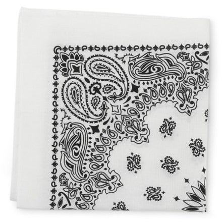 Carolina Mfg. Paisley Bandana 1