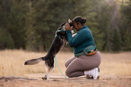 Wilderdog Dog Walking Utility Pack 2