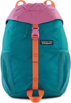 Rei cheap patagonia bag