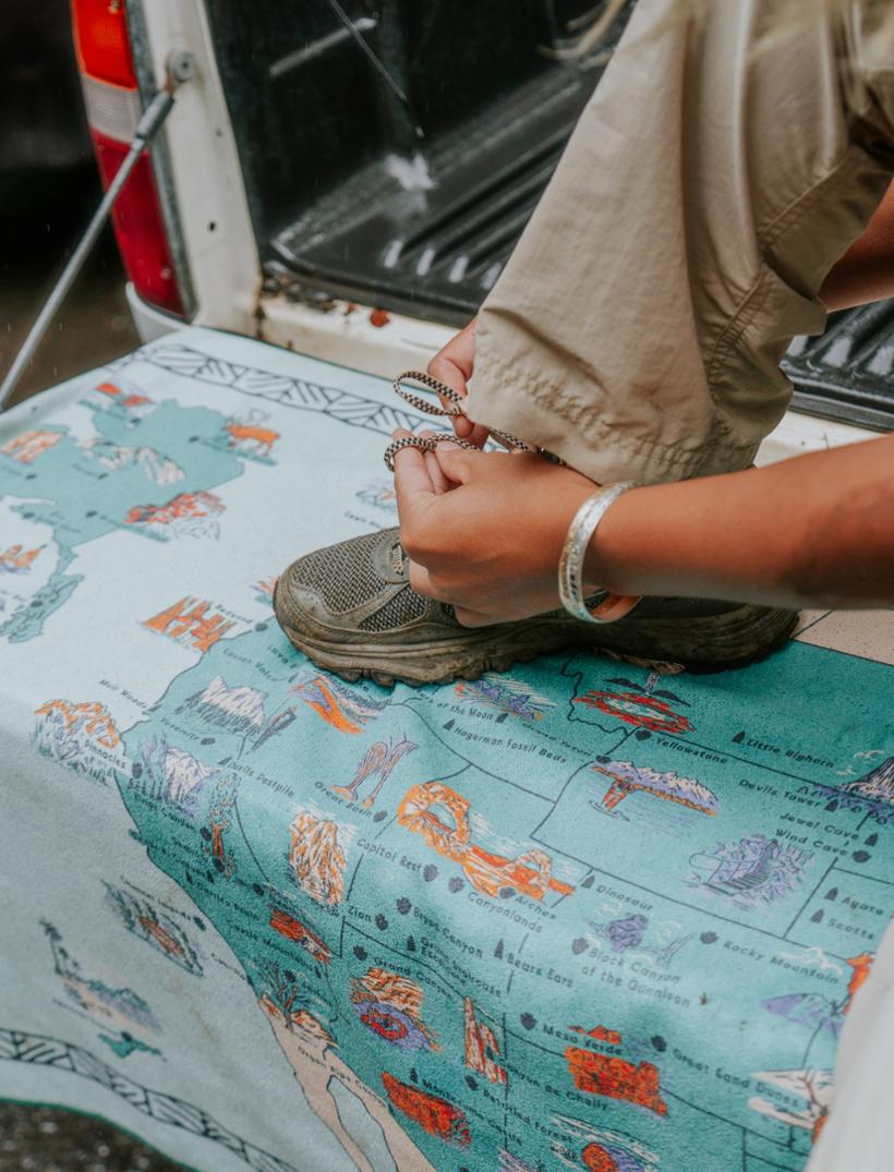 Location Image for Original Towel