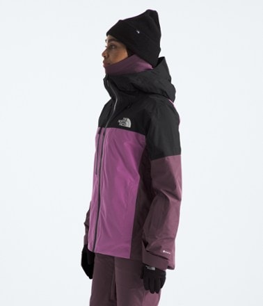 The North Face Dawnstrike GORE-TEX Insulated Jacket - Women's 4