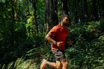 Location Image of color Onyx