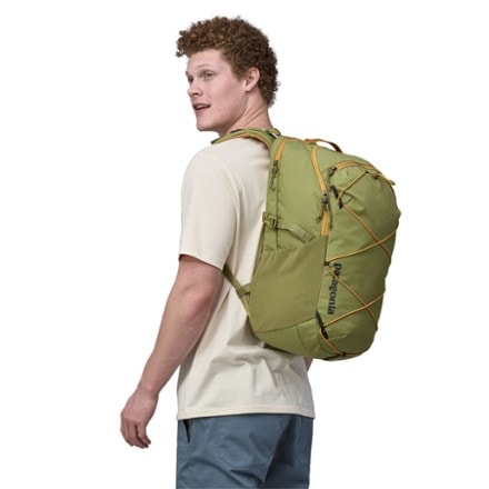 Patagonia Refugio 30L Pack 1