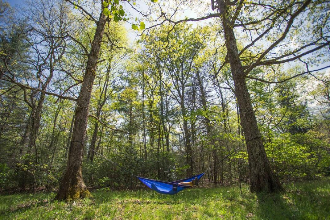 Location Image for Atlas XL Hammock Suspension System