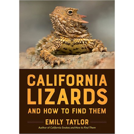 Heyday California Lizards and How to Find Them 0