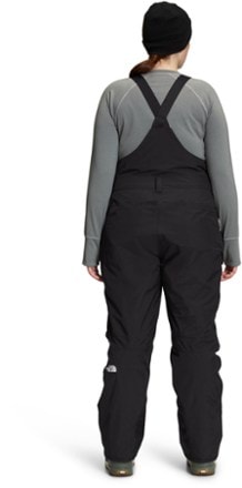 The North Face Freedom Bib Pants - Women's 4