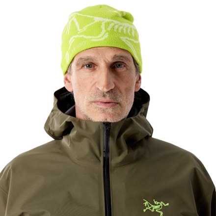 Arc'teryx Bird Head Toque Beanie 1