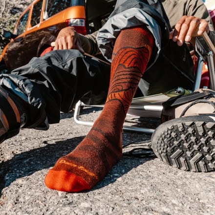 Darn Tough Titan Over-the-Calf Lightweight Ski and Snowboard Socks - Men's 4