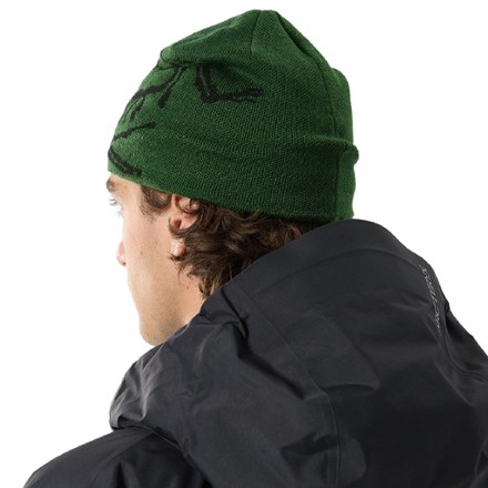 Arc'teryx Bird Head Toque Beanie 2