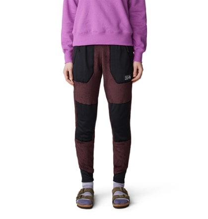 Mountain Hardwear Polartec High Loft Pants - Women's 1