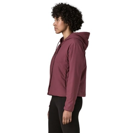 Patagonia Nano-Air Snap Insulated Hoody - Women's 3