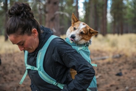 Ruffwear Hitch Hiker Dog Pack 6