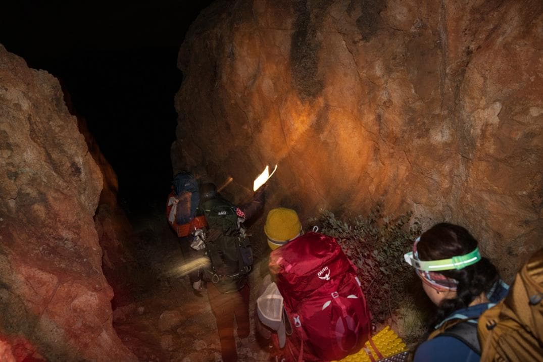 Location Image for Aura AG 50 Pack - Women's