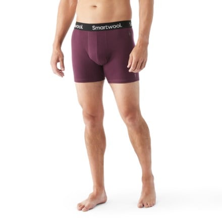 Smartwool Merino Boxer Briefs - Men's 0