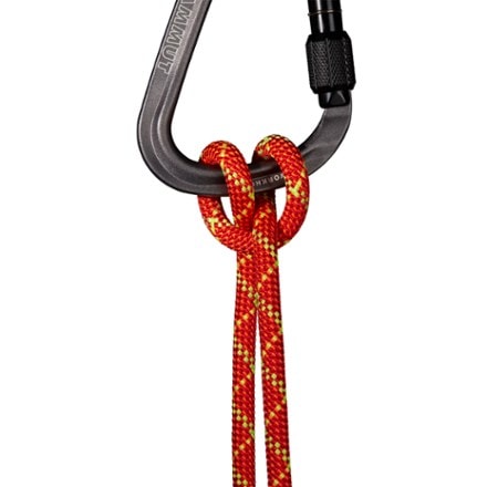 Mammut Alpine Core Protect Dry 8.0 mm Rope 1