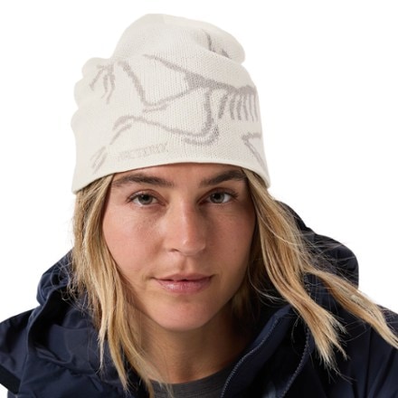 Arc'teryx Bird Head Toque Beanie 1