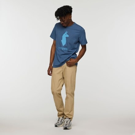 Cotopaxi Llama T-Shirt - Men's 3