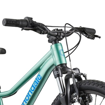 Cannondale Trail 20 Kids' Bike 10