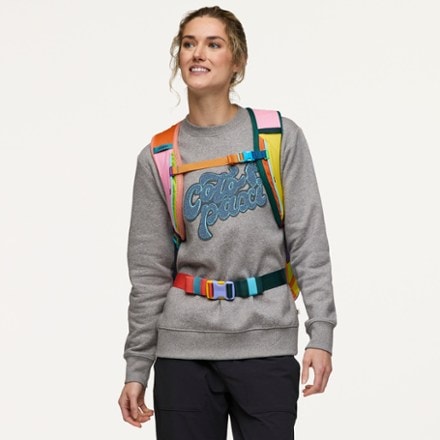 Cotopaxi Allpa 28 L Del Dia Travel Pack 8