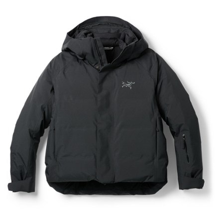 Arc'teryx Andessa Down Jacket - Women's 0