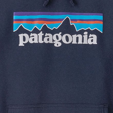 Patagonia hot sale blue hoodie