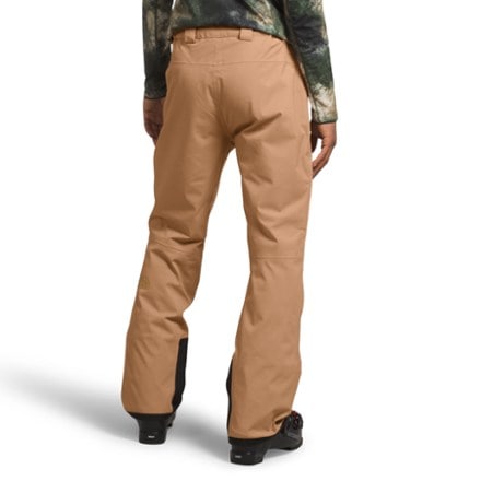 The North Face Chakal Snow Pants - Men's 1