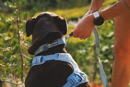 Ruffwear Front Range Flex Collar 3