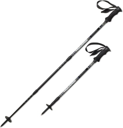 rei trekking pole