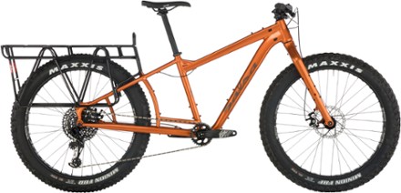 salsa fat bike