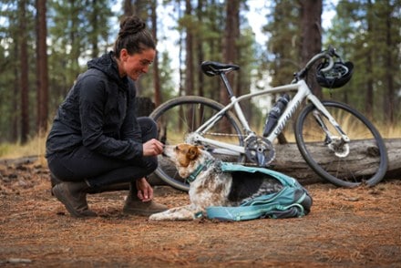 Ruffwear Hitch Hiker Dog Pack 3