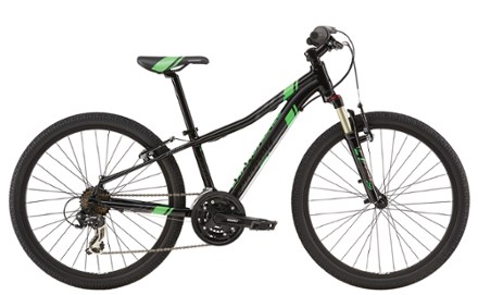 cannondale 24 mountain bike