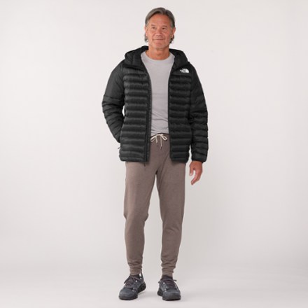 The North Face Terra Peak Insulated Hoodie - Men's 3