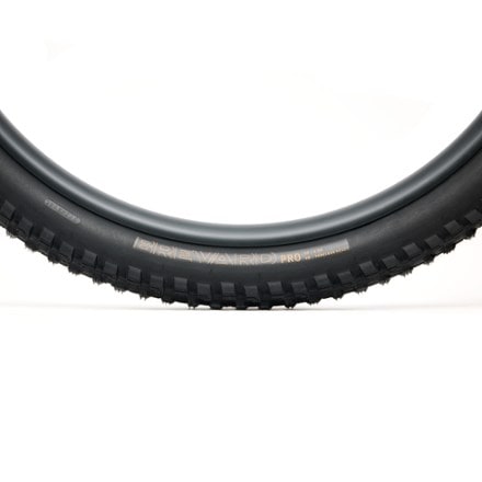 Bontrager Brevard Pro XR TLR Tire 2