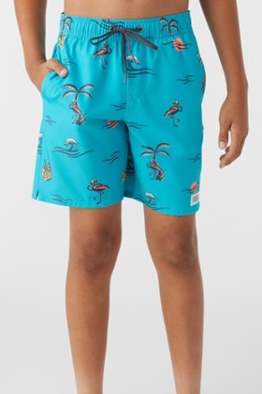 O'Neill Hermosa Crew 16" Swim Trunks - Kids' 5