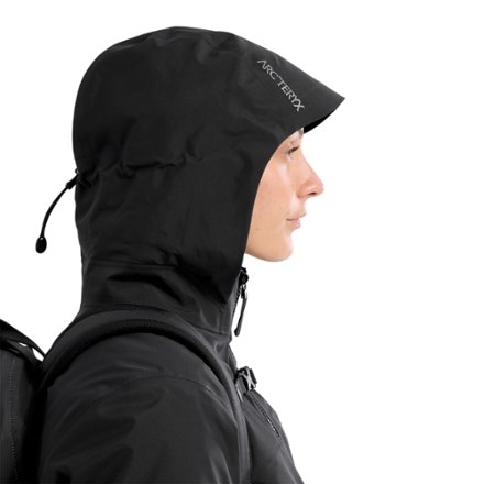 Arc'teryx Beta Down Parka - Women's 6