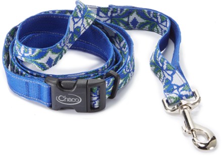 dog leash buckle